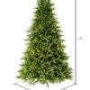 7.5′ x 58″ Jersey Fraser Fir Christmas Tree, Unlit